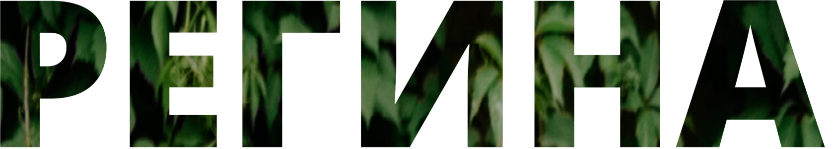 Сайты на Тильда