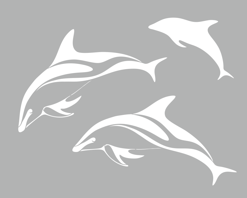 Трафареты морская тема. Морская тематика силуэт. Трафареты для стен в ванной. Трафареты морская тема. Шаблоны морских обитателей.