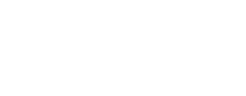 ВШГУ