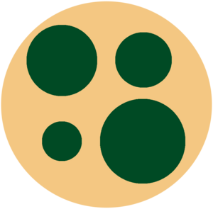 website icon