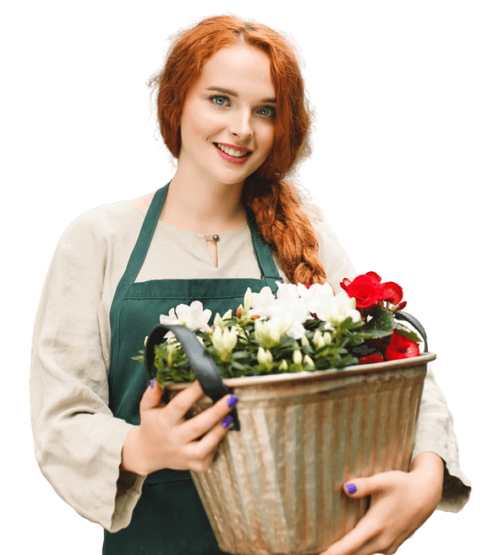 грядки из дпк