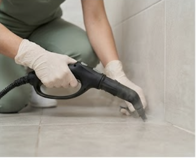 Профессионал