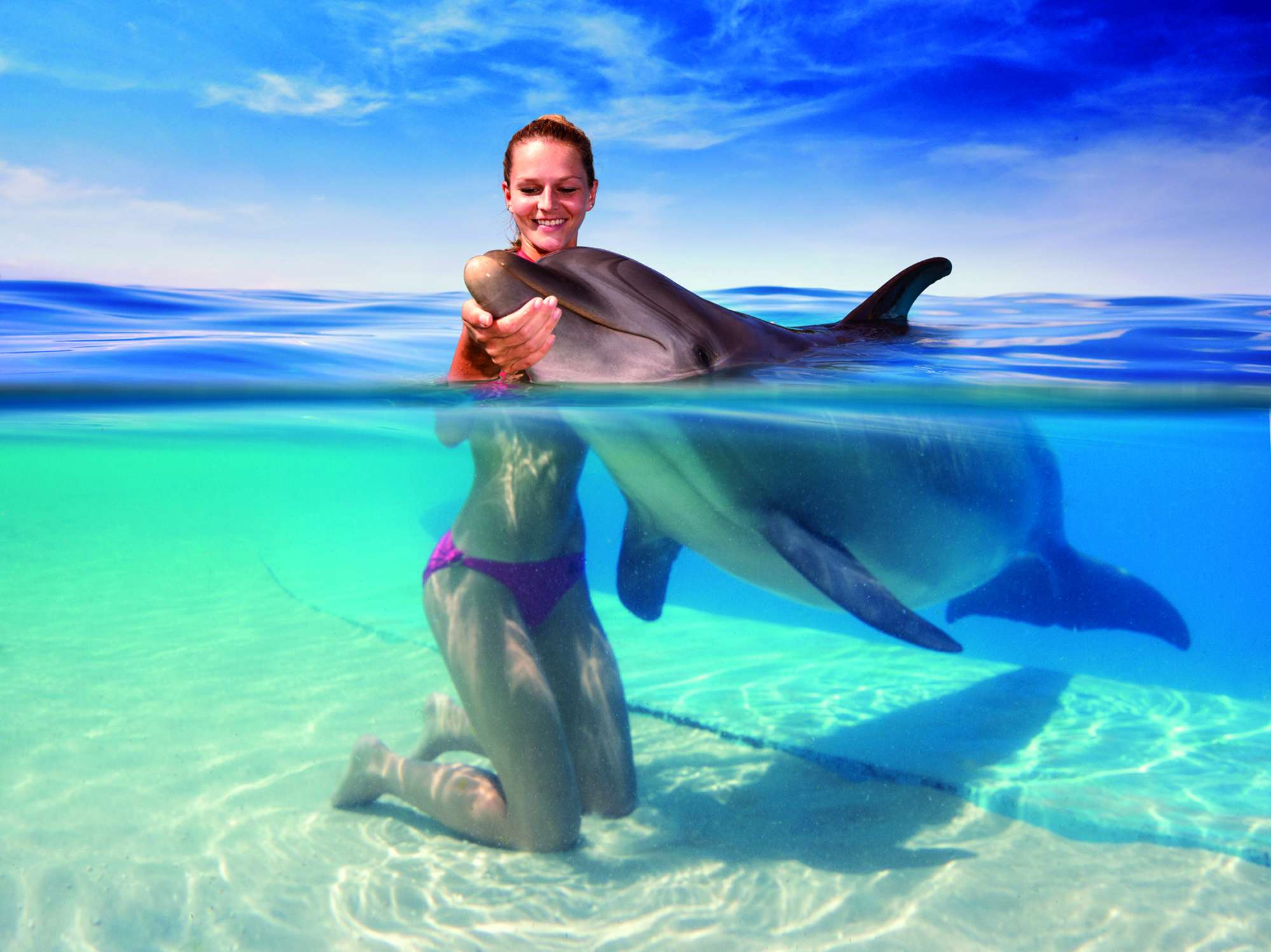 Девушка на дельфине