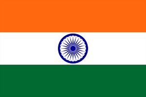 website icon