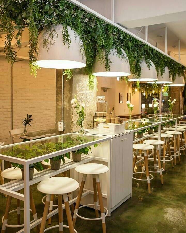 Кафе зеленая зона. Озеленение ресторана. Зелень в интерьере кафе. Растения в интерьере ресторана. Интерьер ресторана.