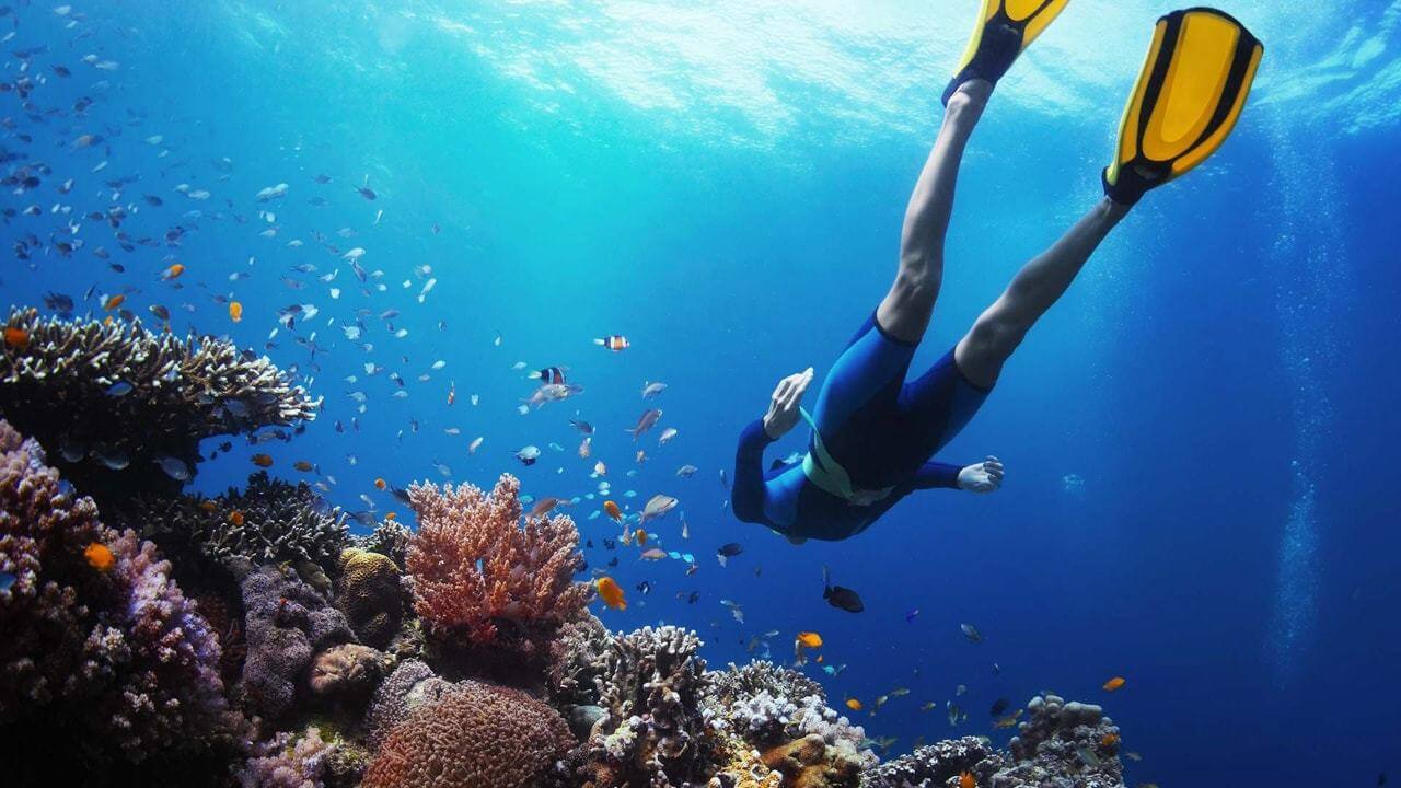 Коралловые рифы Мальдивы снорклинг
