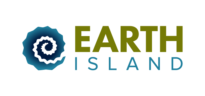 Earth сайт. Earth Island Institute. Earth Island Institute the Borneo Project