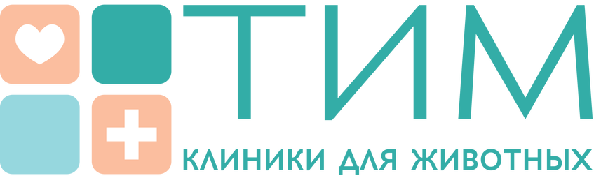Your Company