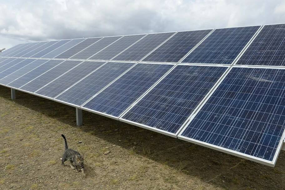 Лидер солнечной энергетики готов поделиться зеленой энергией