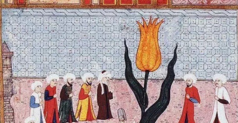 тюльпан история