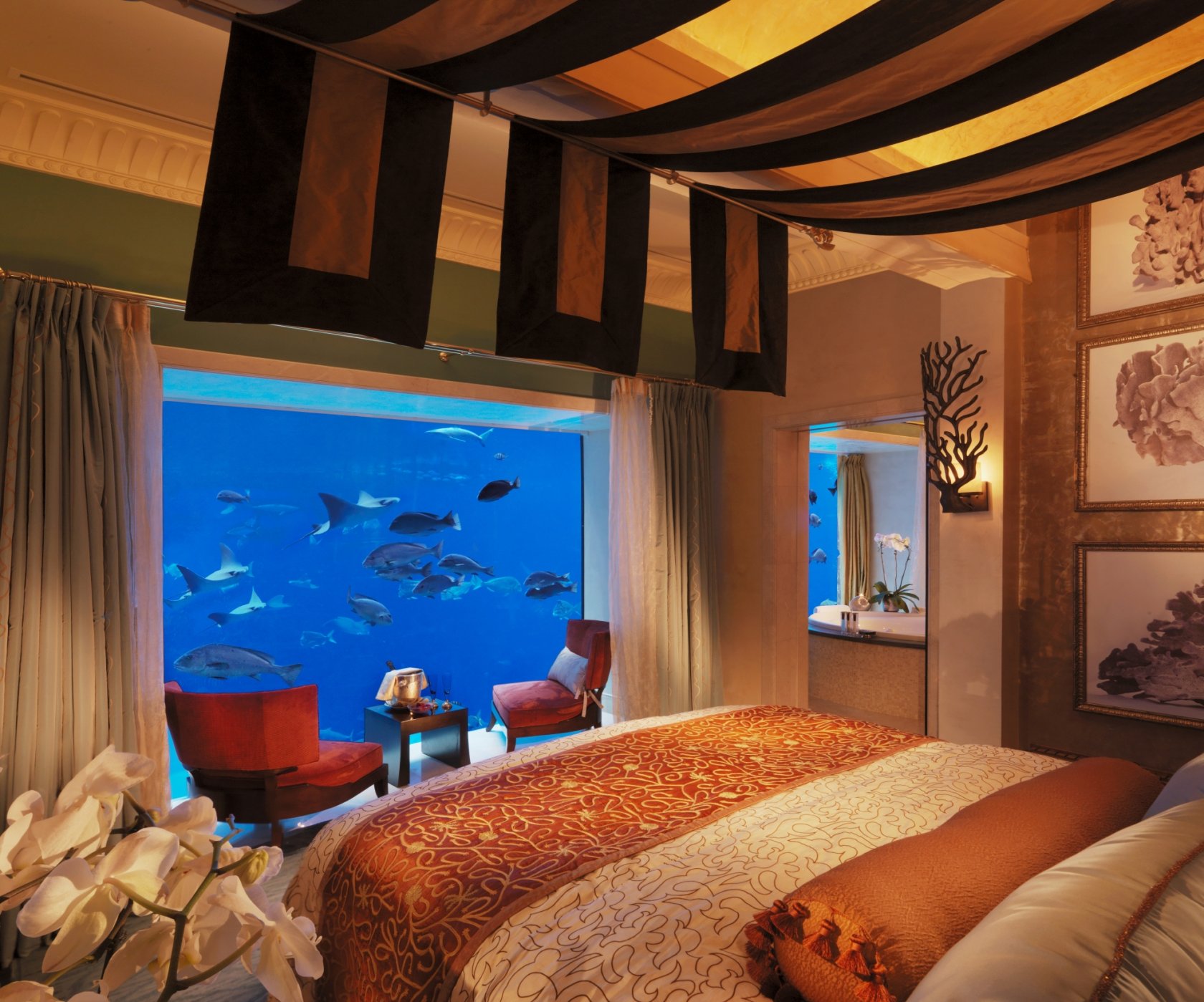 Atlantis the Palm Dubai 5