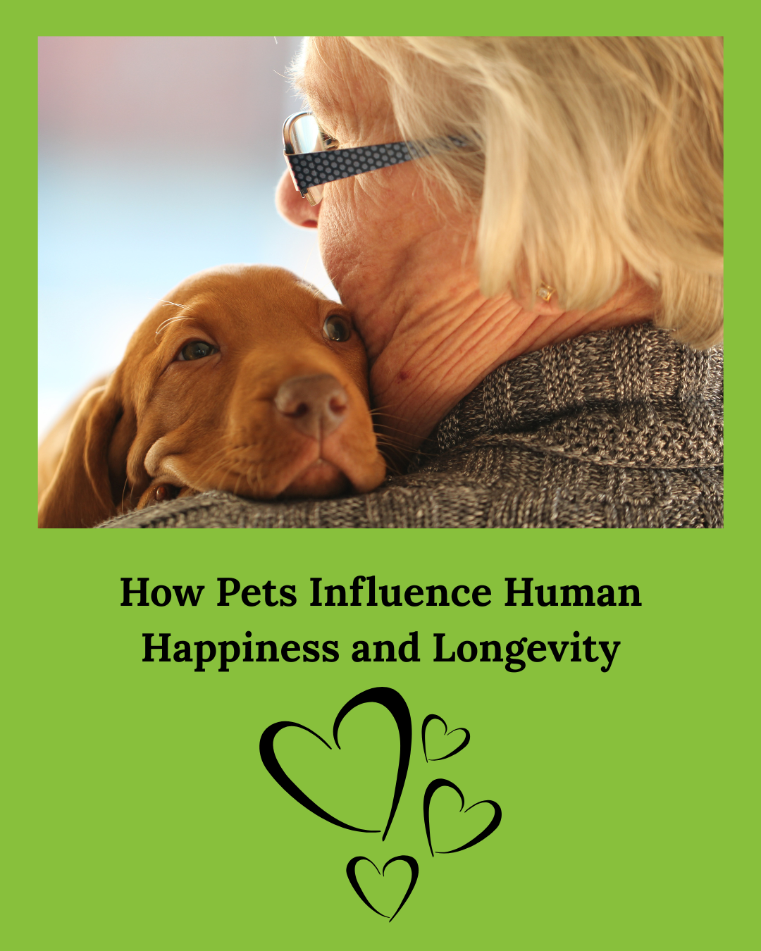 How pets make people happier and help them live longer