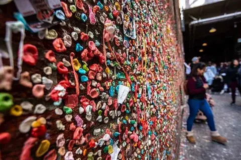 «Жевательная стена» в Сиэтле и другие мировые диковинки