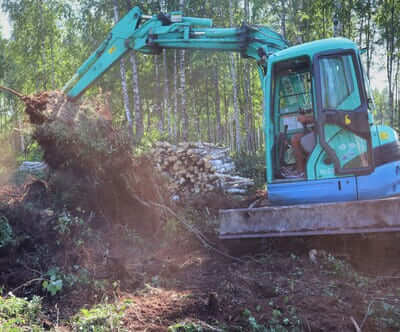 Расчистка участка, корчевка пней, валка деревьев под ключ в спб и области цена