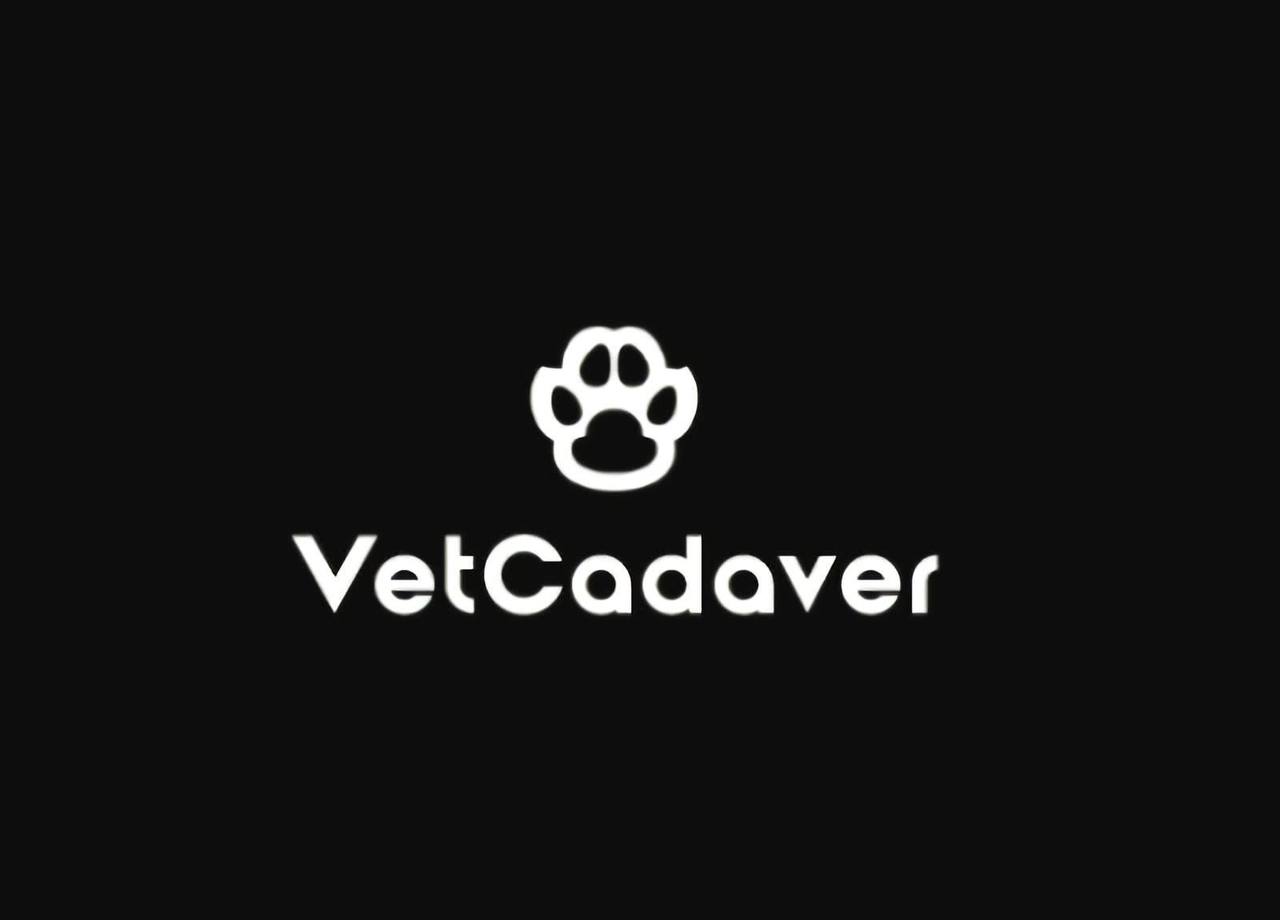 VetCadaver| Практические курсы для ветеринарных врачей