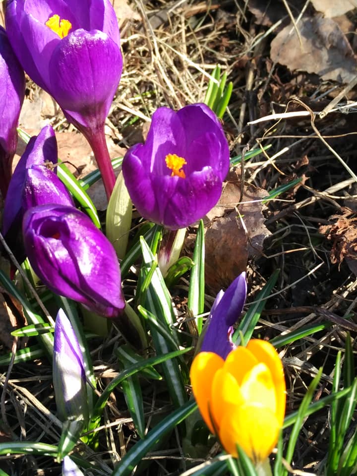На этом месте растёт текст, но он ещё не созрел.
