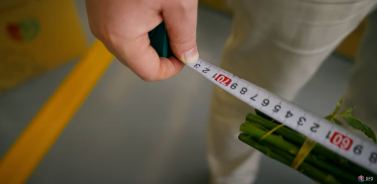 Цветы имели длину 65 см