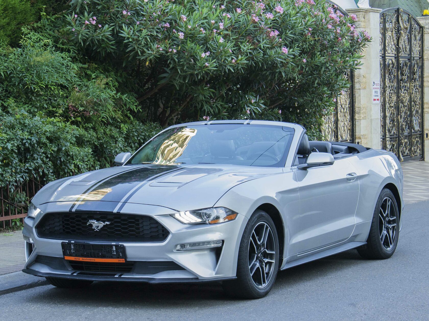 Аренда Ford Mustang Gray в Сочи без водителя