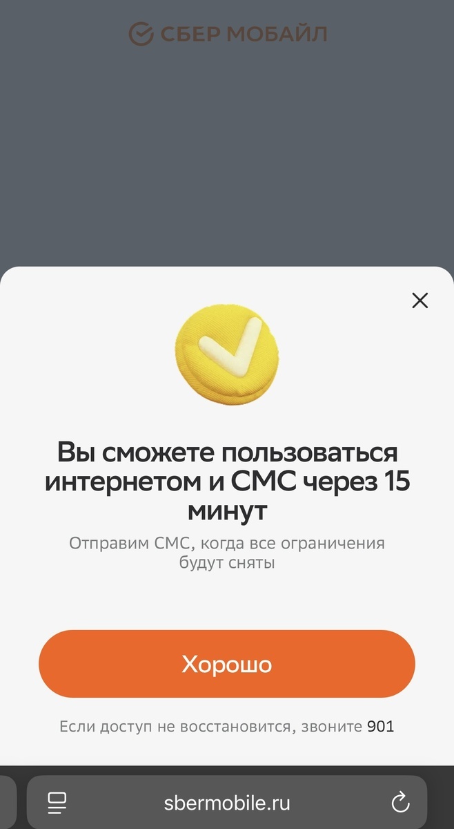 Снятие ограничений и блокировки мобильного интернета на SIM-карте СберМобайл