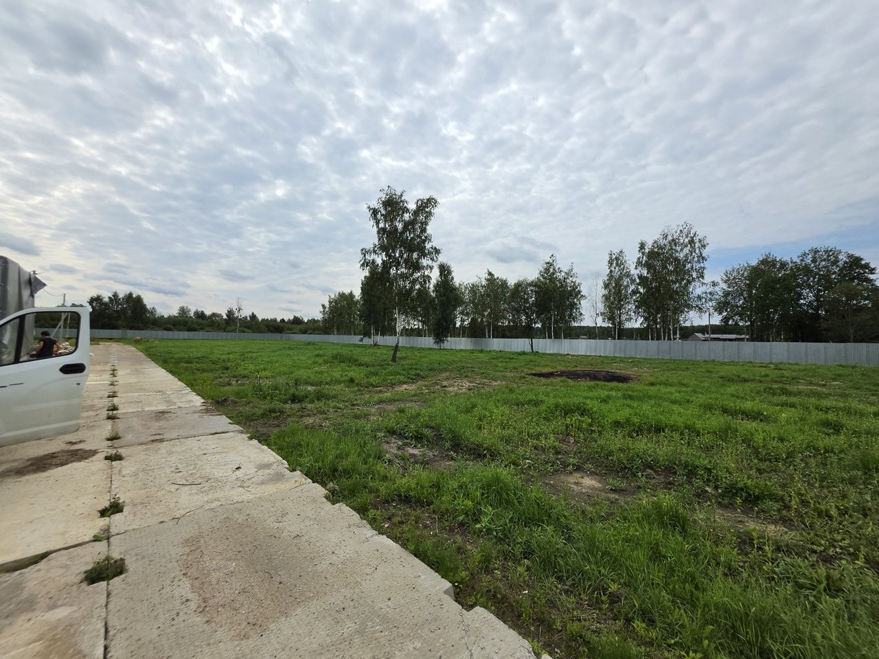 Участок среди берёз