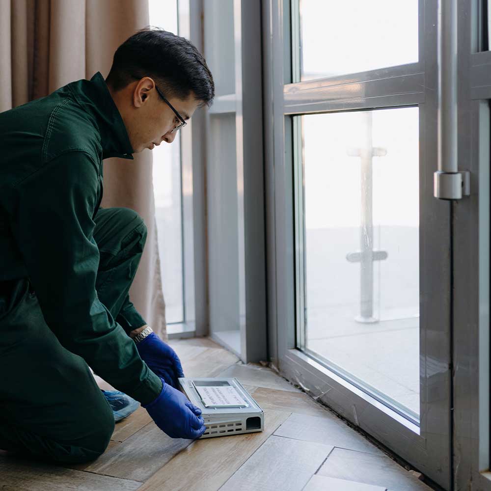 уничтожение грызунов крыс