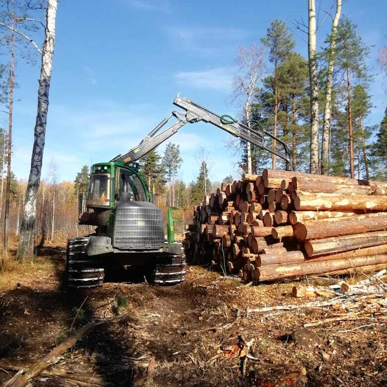 круглые лесоматериалы