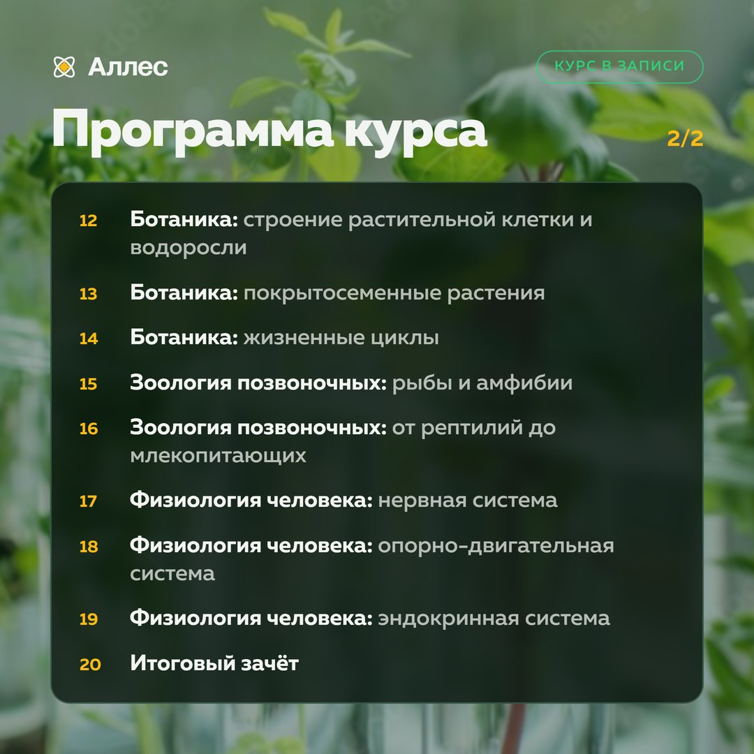 Программа курса «Экспрессия», часть 2