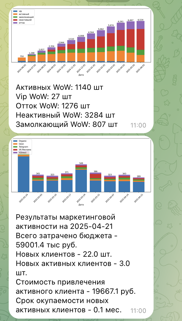 Отчёт бота: графики клиентских сегментов и маркетинга с текстовыми записками