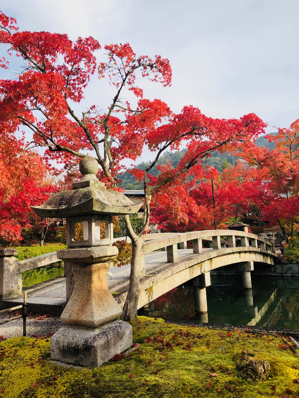 япония фудзияма сакура храм. туры в японию с перелетом. туры в японию с перелетом. япония туризм. япония экскурсии.