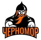website icon