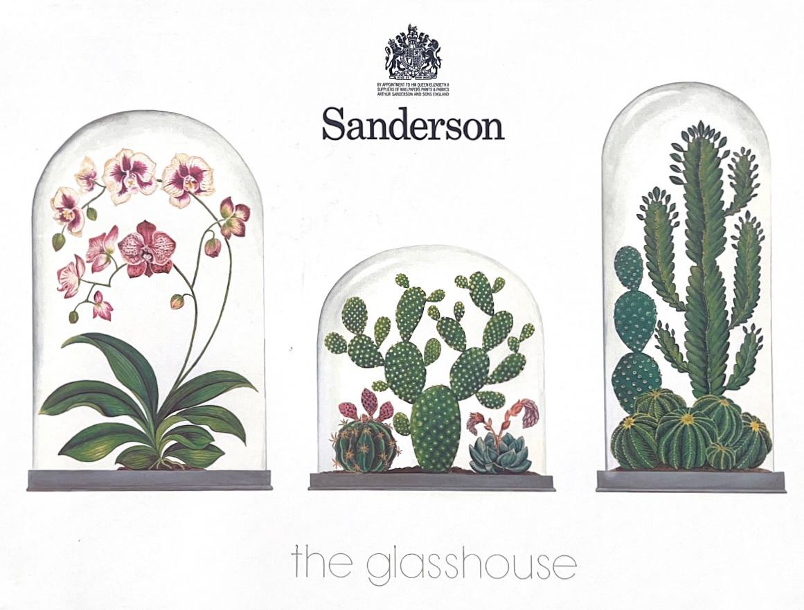 Обои бренда Sanderson коллекция Gasshouse купить в Тюмени