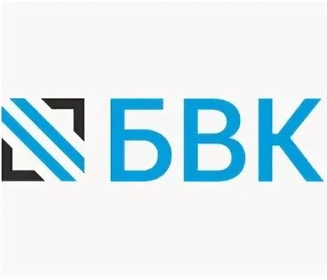Bvkexpo logo