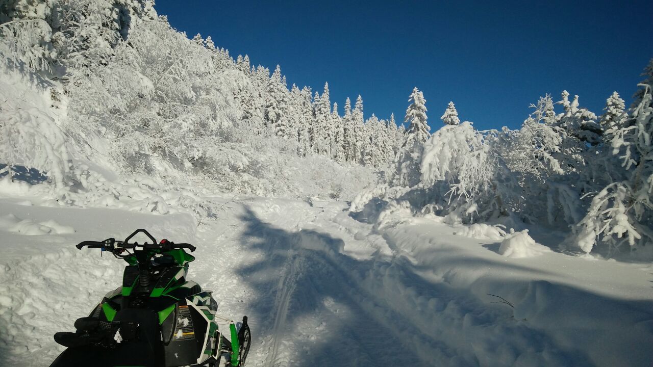 Снегоходы хабаровском крае