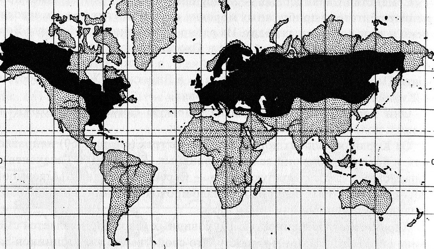 Ареал обитания окуня. Распространение рыб. Ареал щуки. Большой прудовик ареал обитания.