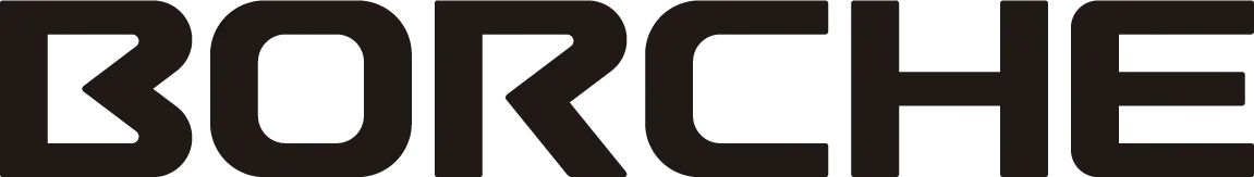 Логотип BORCHE