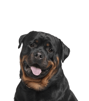 Ветеринарная клиника