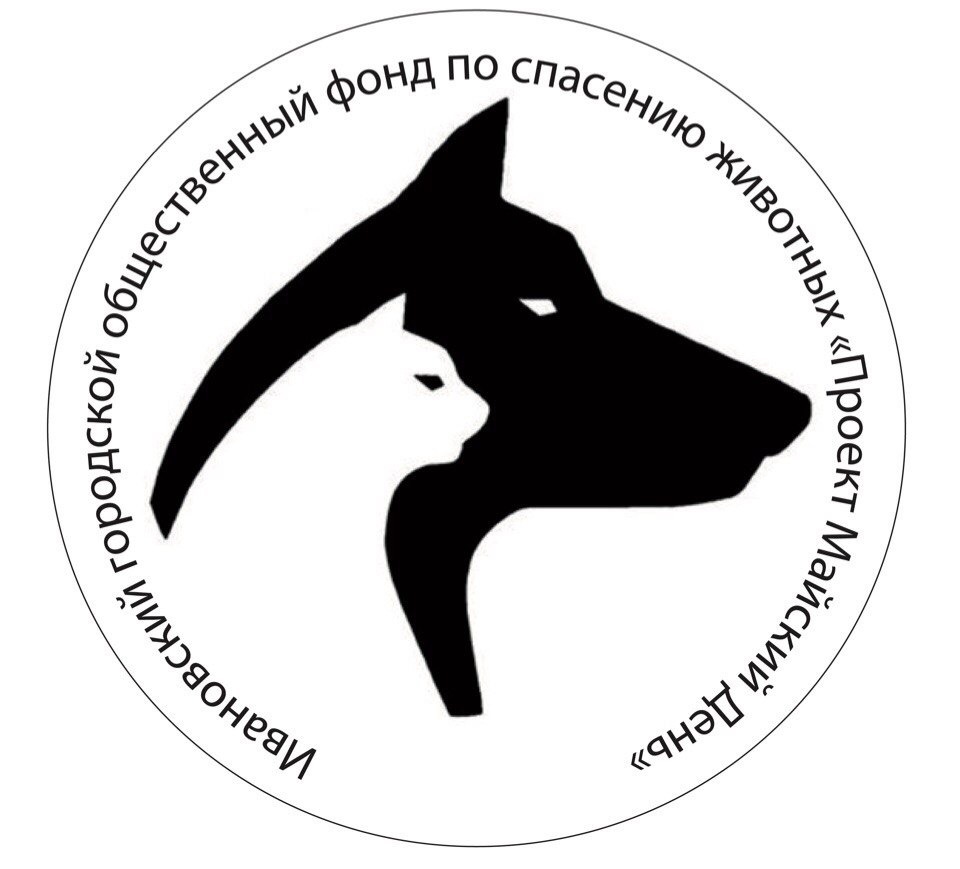 Приют для животных маями. Майский день приют иваново официальный сайт. Приют для животных иваново. Город иваново приют майский день. Ивановский приют для животных.