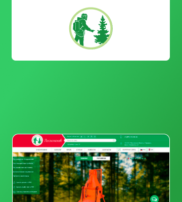 ООО «Лесхозснаб» — Сократили бюджет в 2 раза при увеличении количества лидов в 3 раза