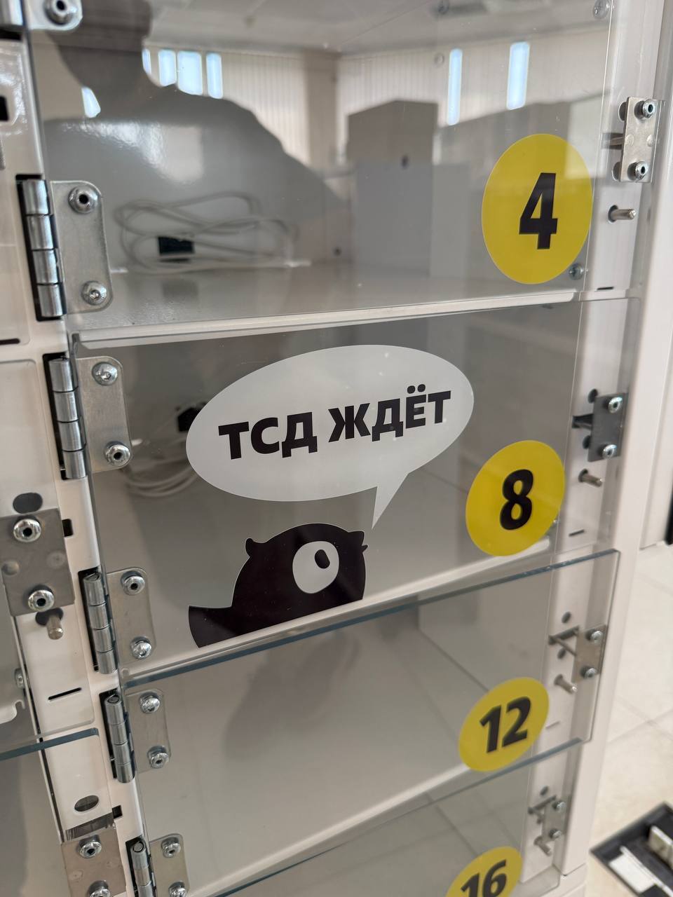 ТСД ждёт — оформление шкафа Инлокер для Чижика
