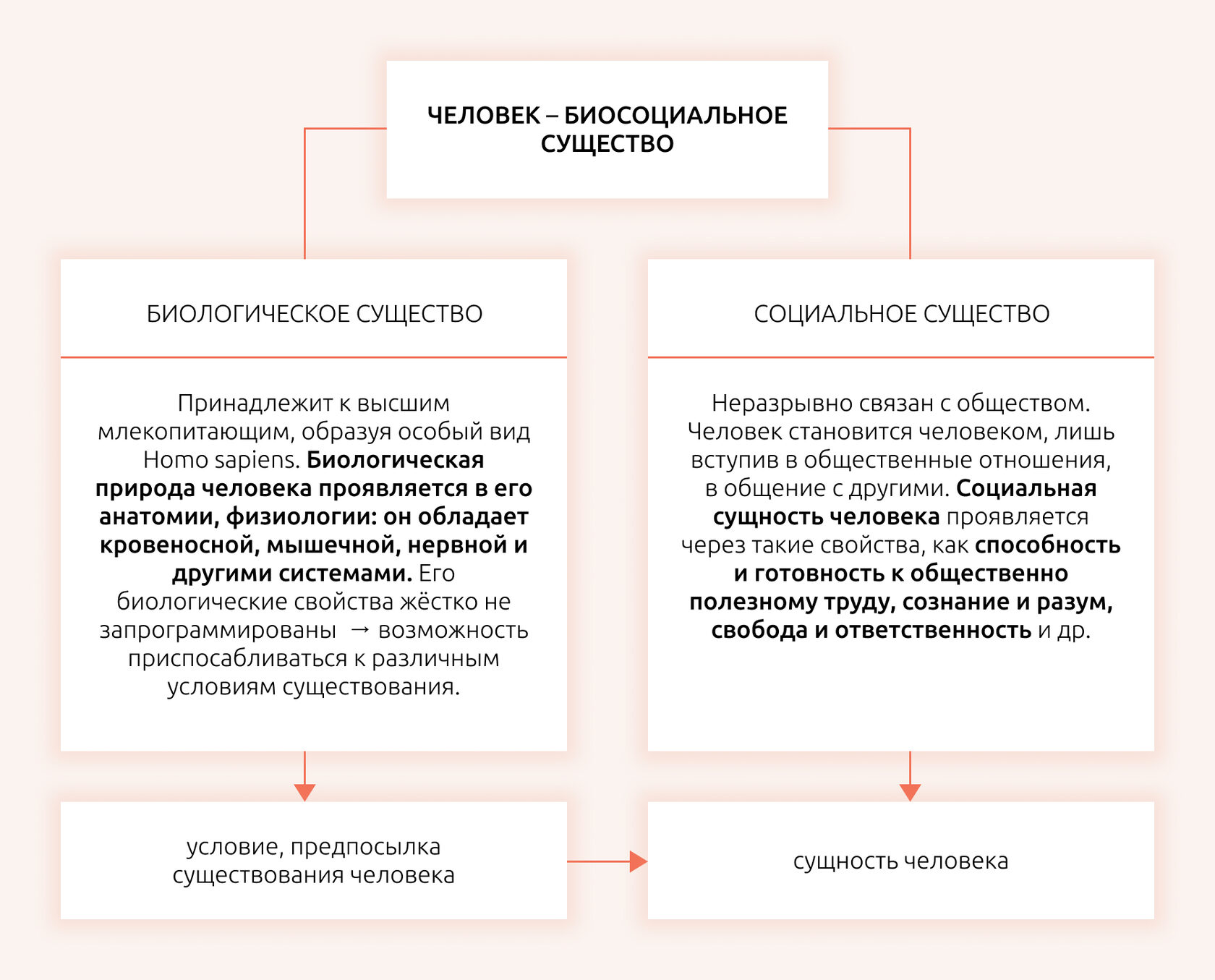 Природное и общественное в человеке – Конспекты Дневник ЕГЭ