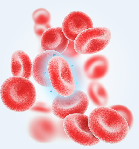Эритроциты в крови здорового человека