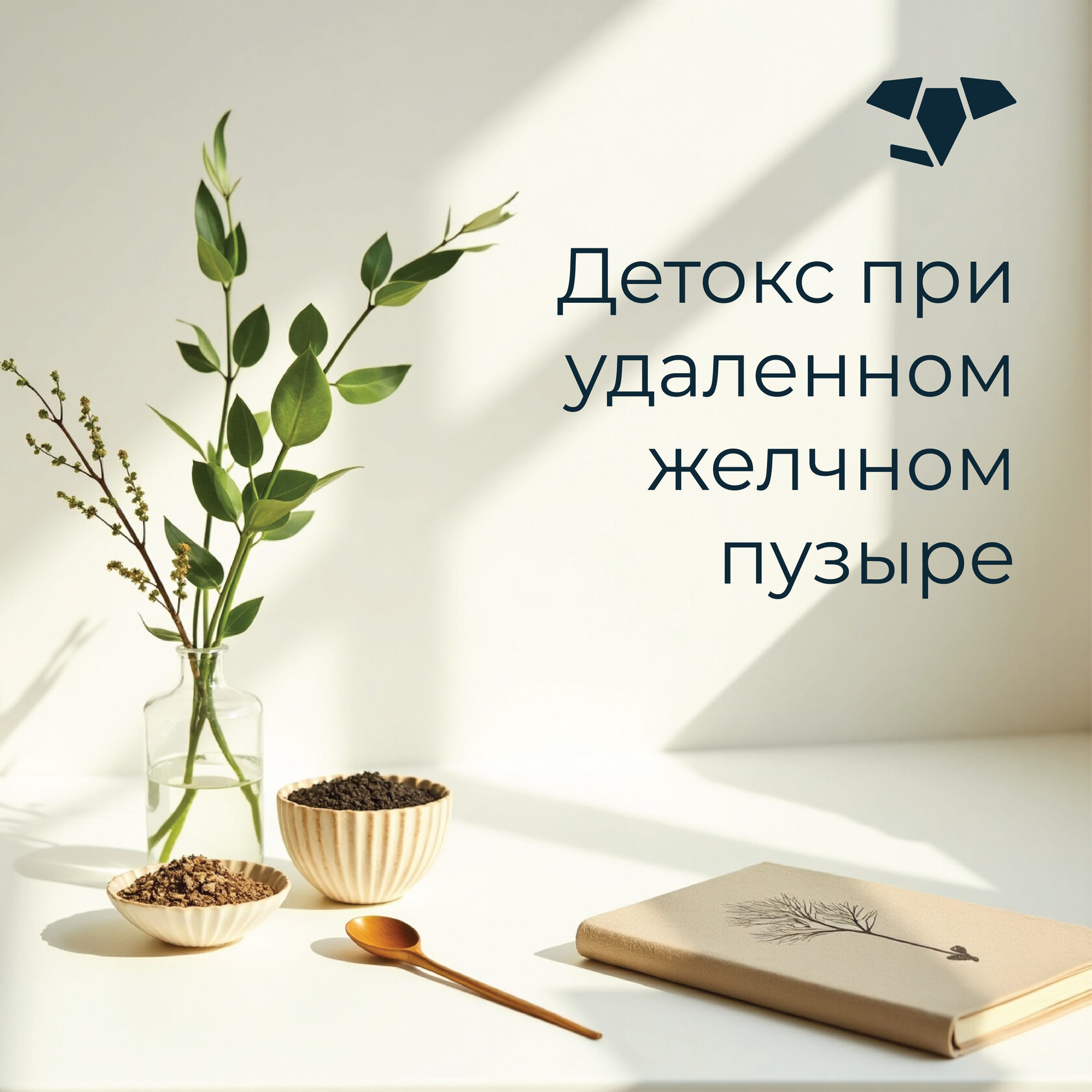 Детокс при удалённом желчном пузыре