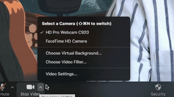 Zoom video filters with color tones, frames and AR stickers