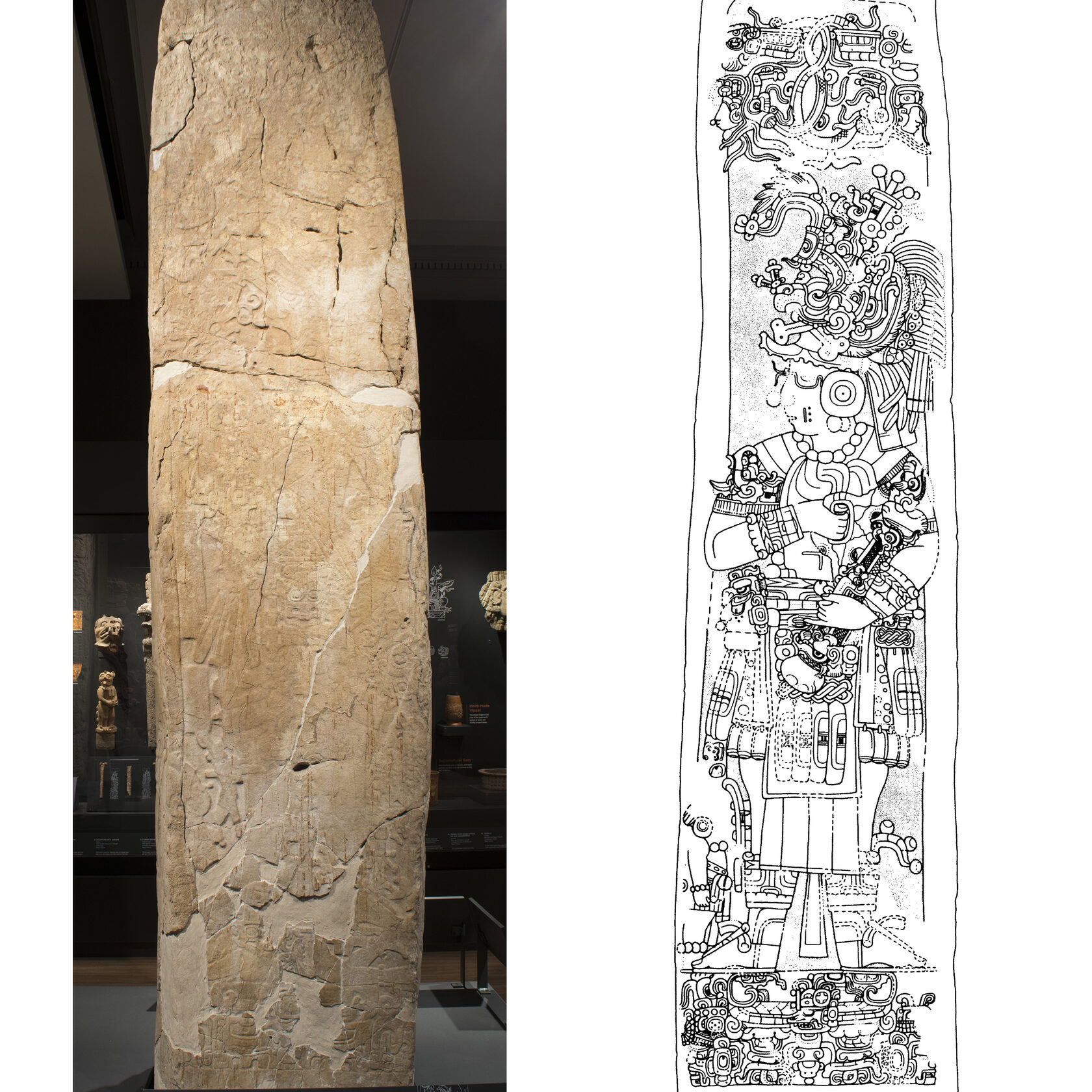Стела 6 (оригинал слева, прорисовка справа), Караколь, Белиз. Майя, 603 г. н.э. Коллекция Penn Museum, Philadelphia.