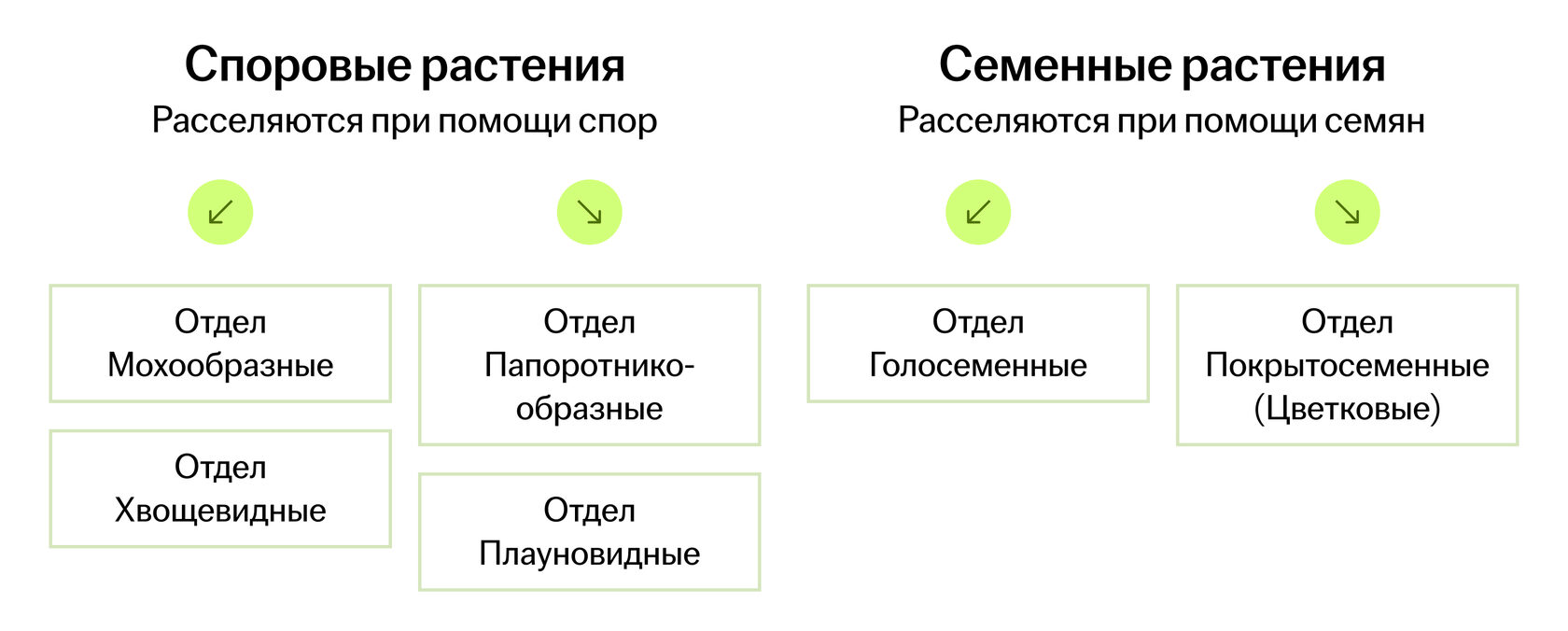Систематика высших растений