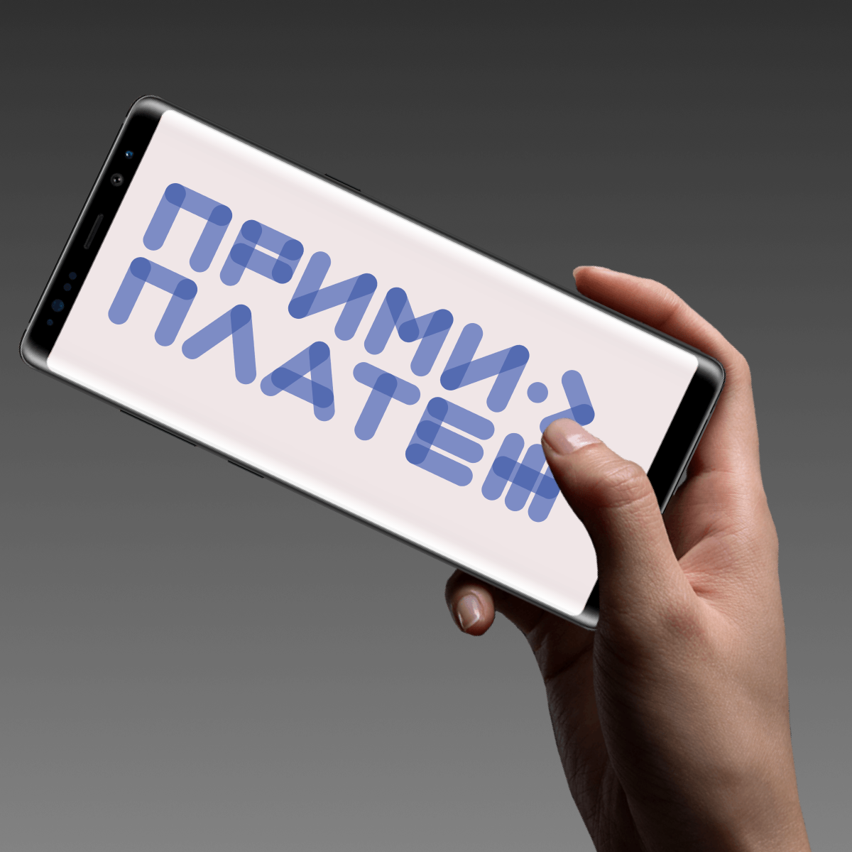 Прими-платим — пример применения логотипа