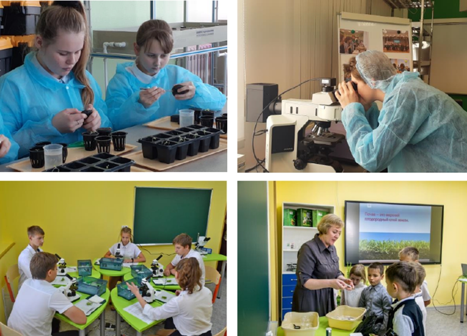 Занятия на площадках региональной Экостанции 