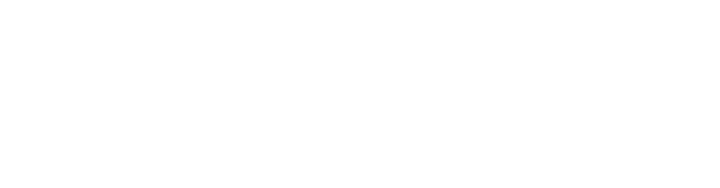 C.T.Dent, партнер NNG
