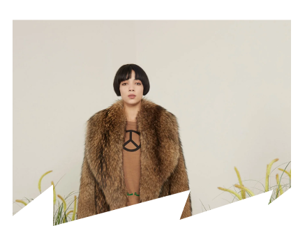 Collection top image