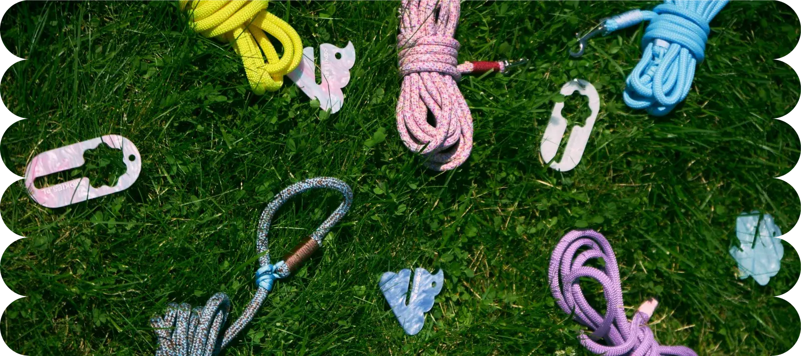 Каталог поводков Cookies hands-free для собак